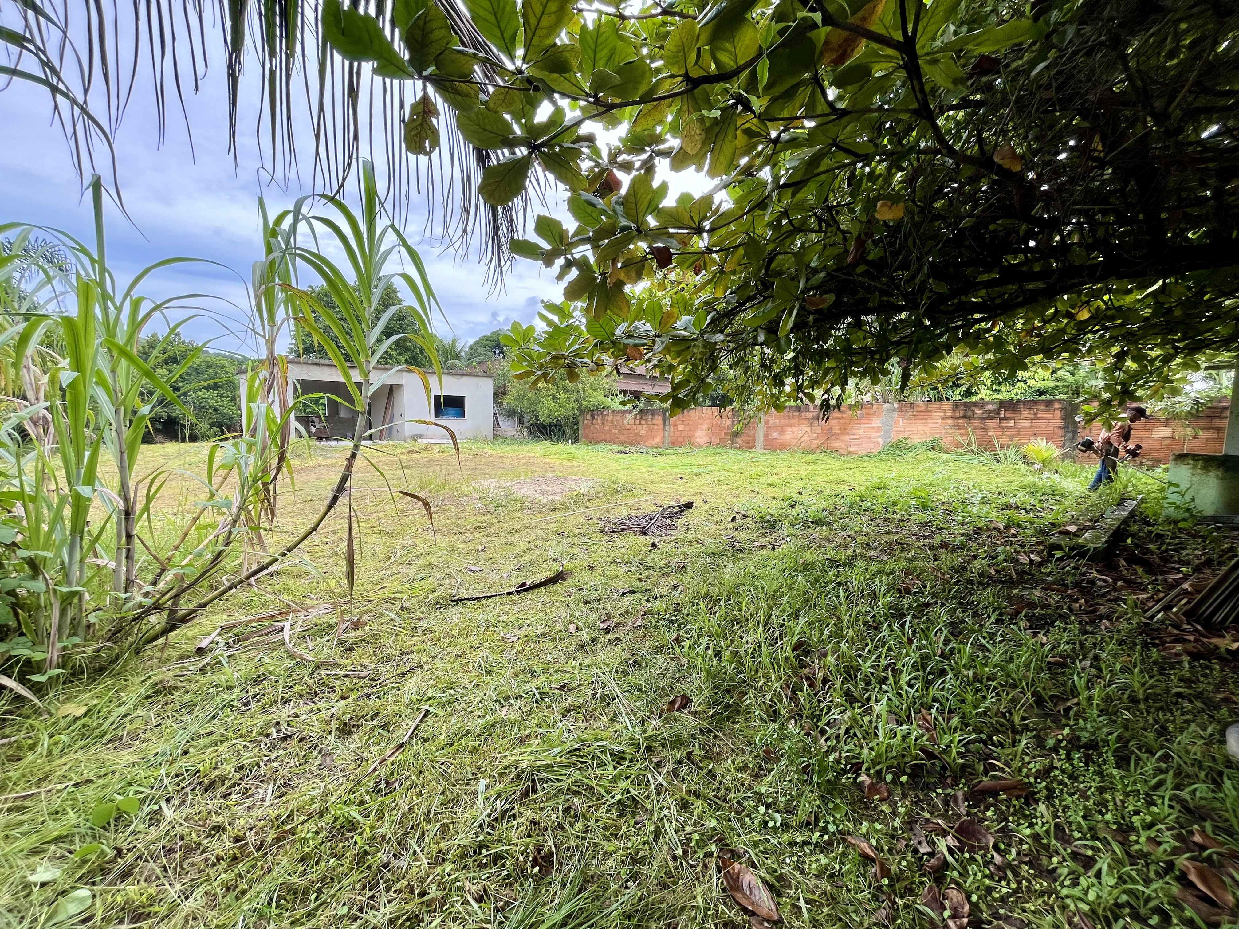 Terreno à venda com 2 quartos, 1000m² - Foto 1