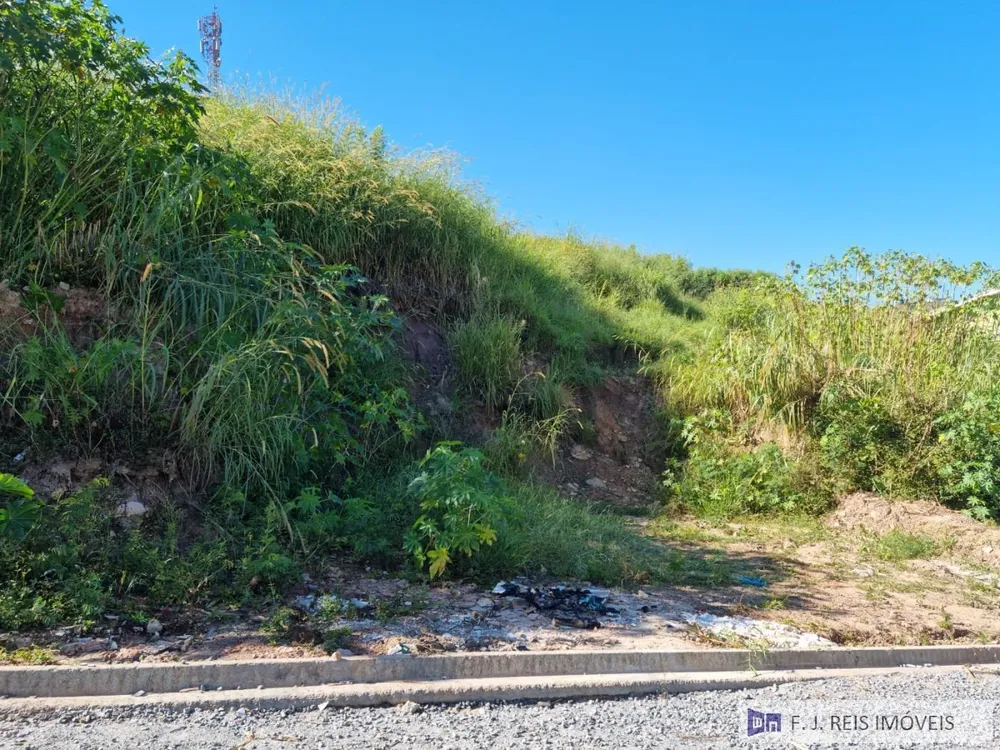 Terreno, 300 m² - Foto 4