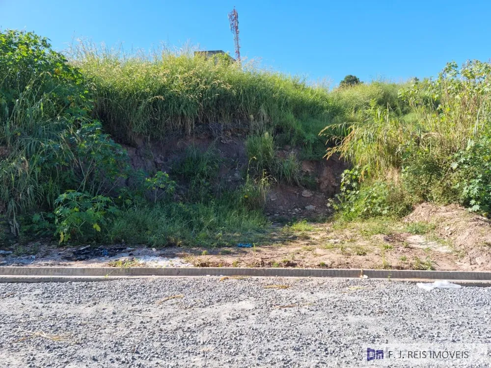 Terreno, 300 m² - Foto 6
