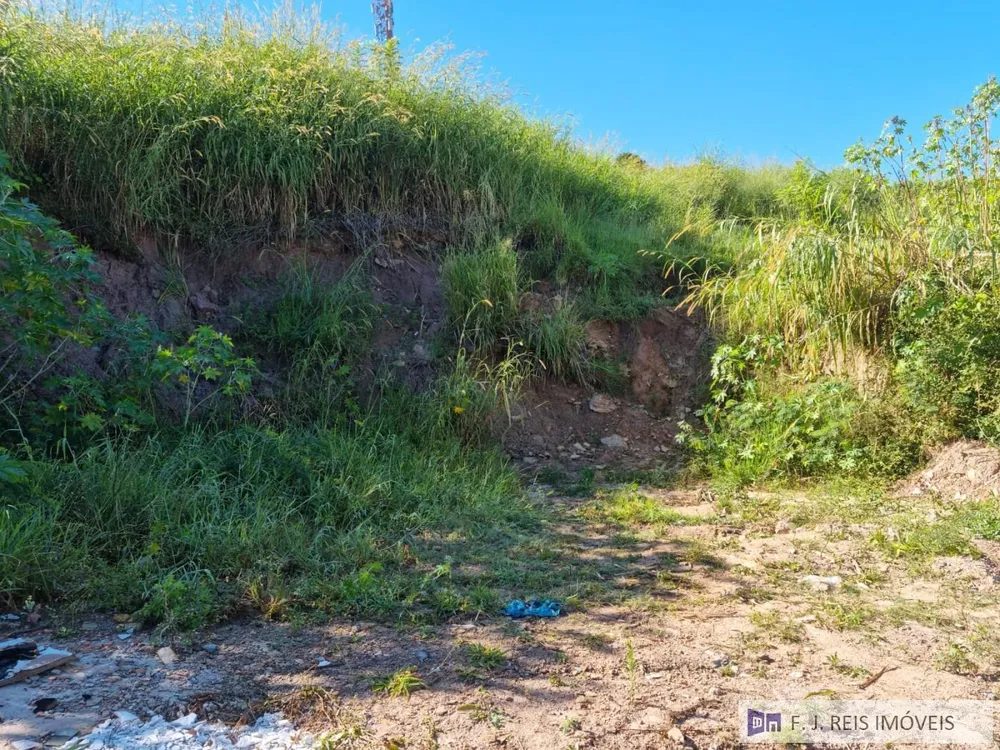Terreno, 300 m² - Foto 3
