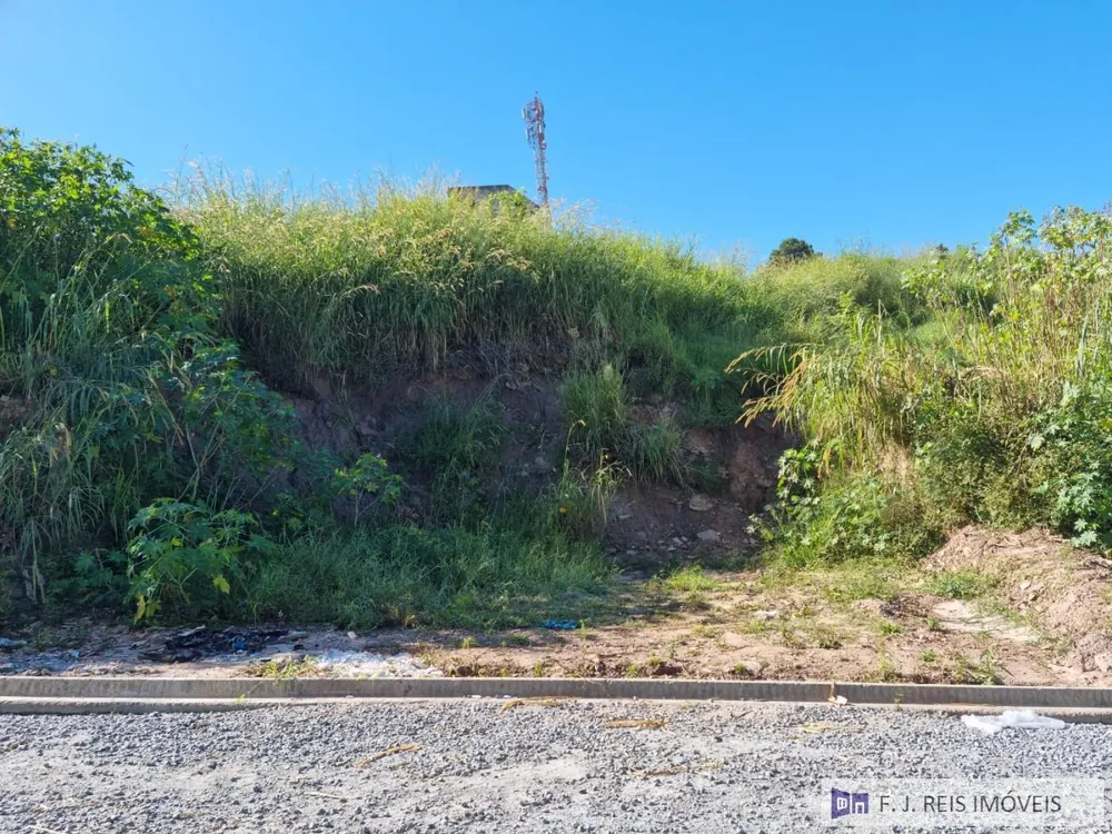 Terreno, 300 m² - Foto 5