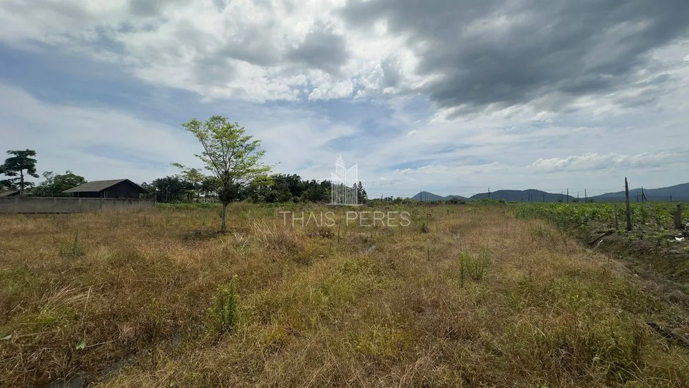 Terreno, 1 hectares - Foto 4