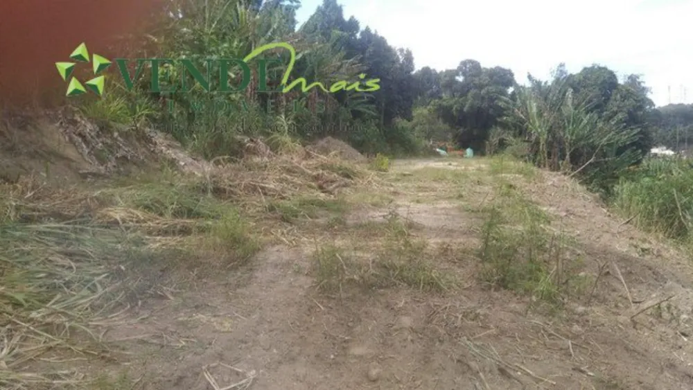 Terreno, 1 hectares - Foto 4