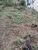Terreno, 362 m² - Foto 2