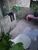 Casa, 2 quartos, 60 m² - Foto 4