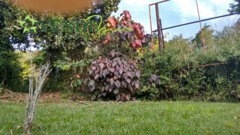 Terreno, 3 hectares - Foto 10