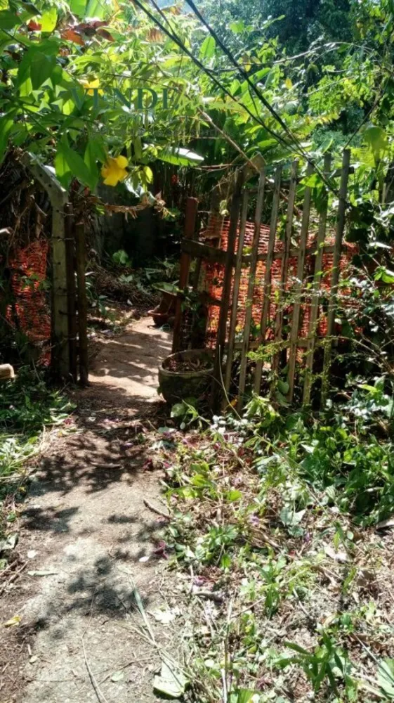 Terreno, 3 hectares - Foto 3