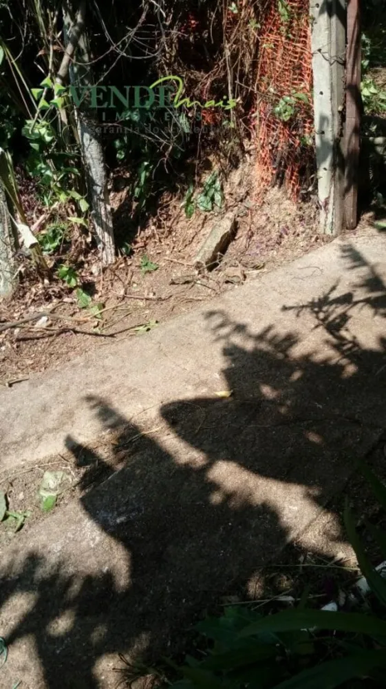 Terreno, 3 hectares - Foto 12