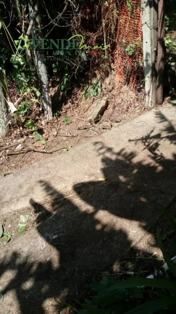 Terreno, 3 hectares - Foto 2