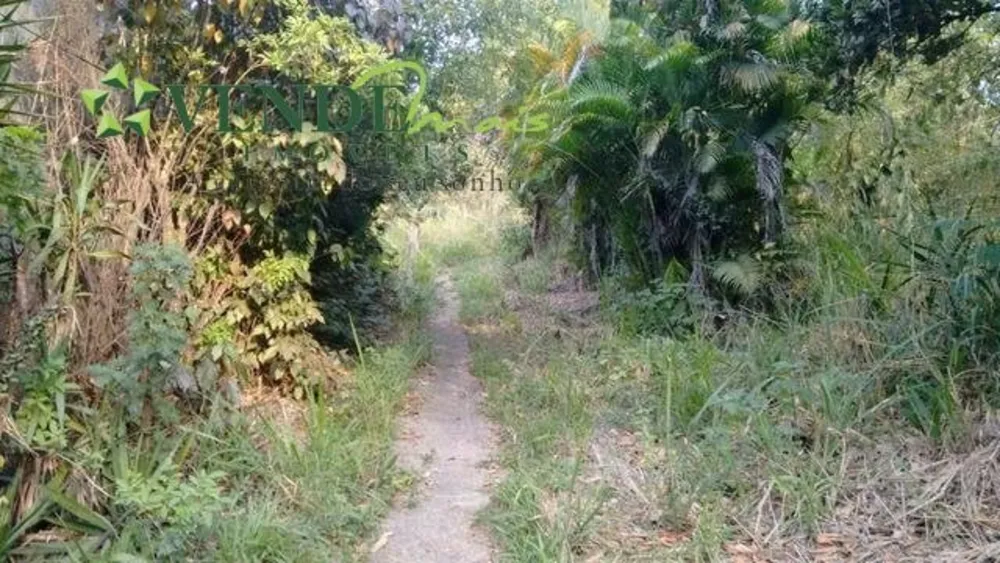 Terreno, 3 hectares - Foto 14