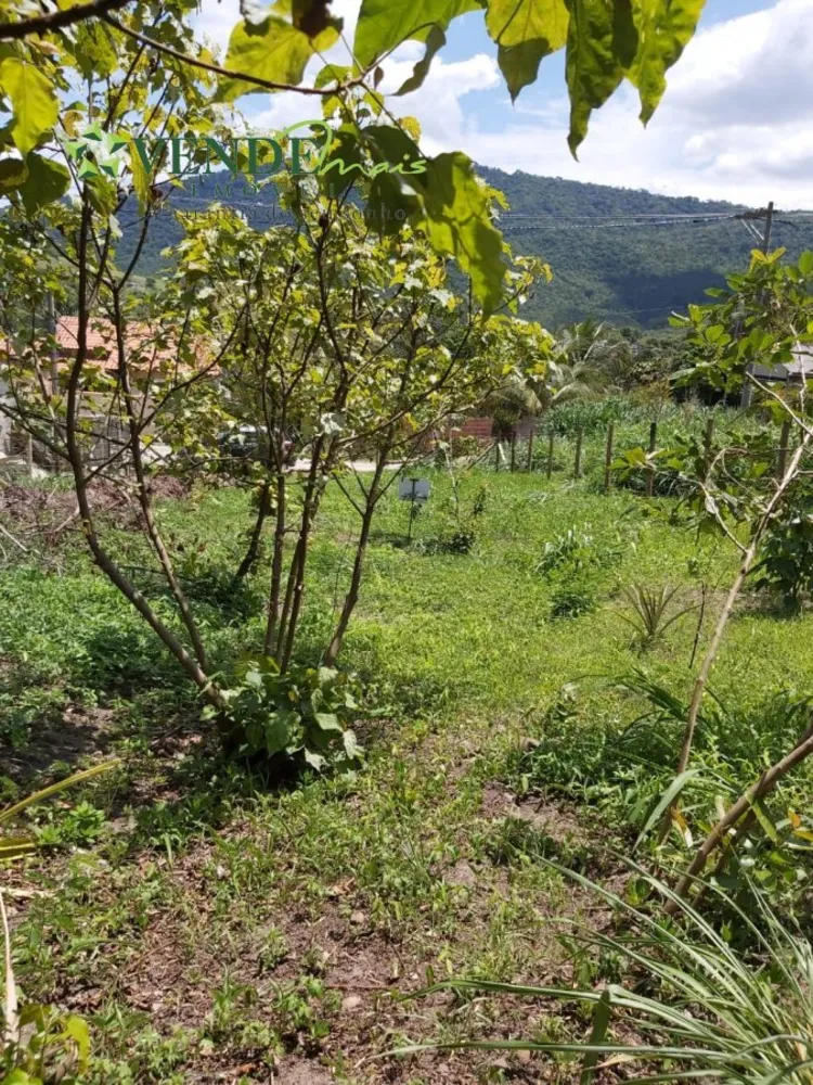 Terreno, 360 m² - Foto 3