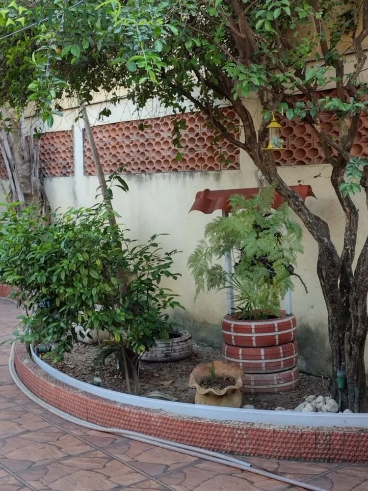 Casa, 4 quartos - Foto 14
