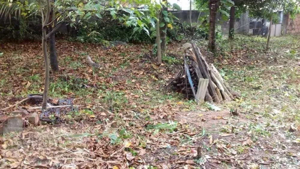 Terreno, 550 m² - Foto 6