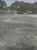 Terreno, 10000 m² - Foto 1