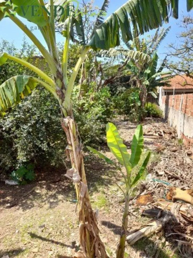 Terreno, 600 m² - Foto 5