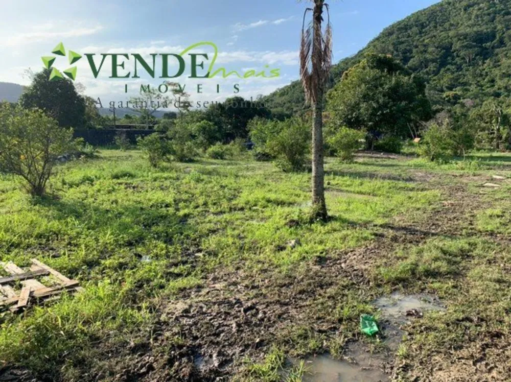 Terreno, 3000 m² - Foto 3