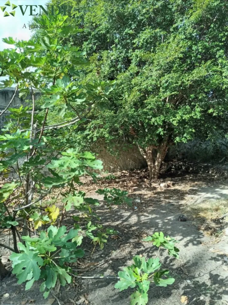 Casa, 2 quartos, 100 m² - Foto 14