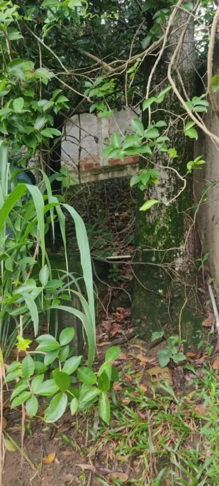 Casa, 3 quartos, 96 m² - Foto 37