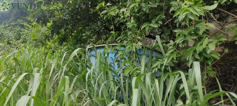 Casa, 3 quartos, 96 m² - Foto 31