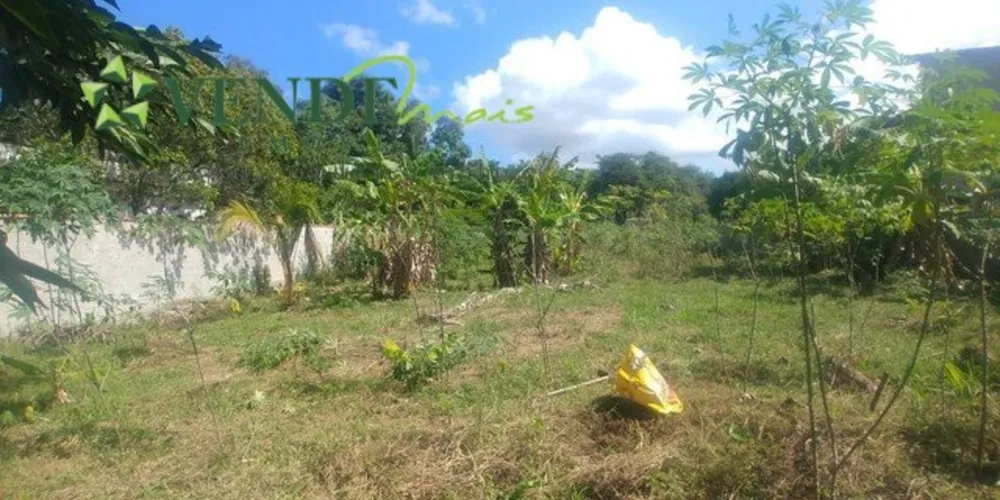 Terreno, 1000 m² - Foto 5