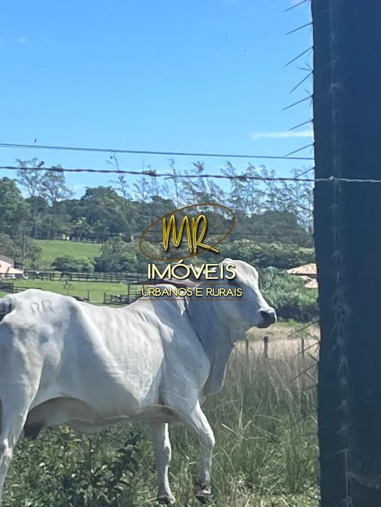 Fazenda, 52 m² - Foto 41