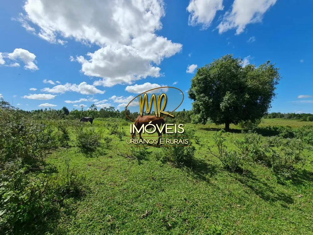 Fazenda, 52 m² - Foto 32