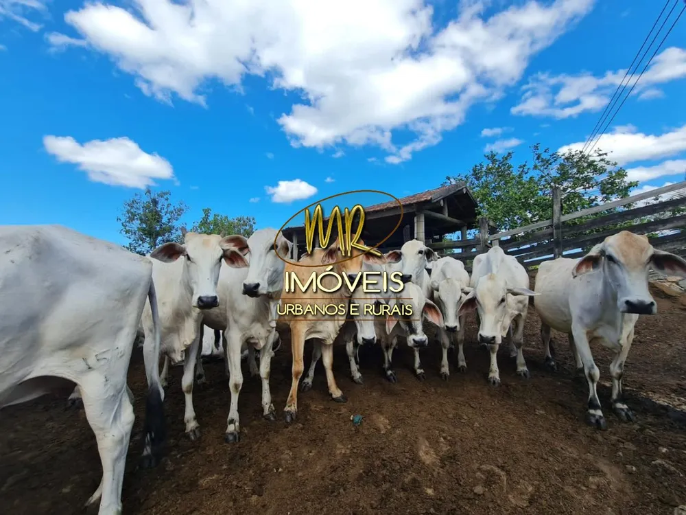 Fazenda, 52 m² - Foto 4