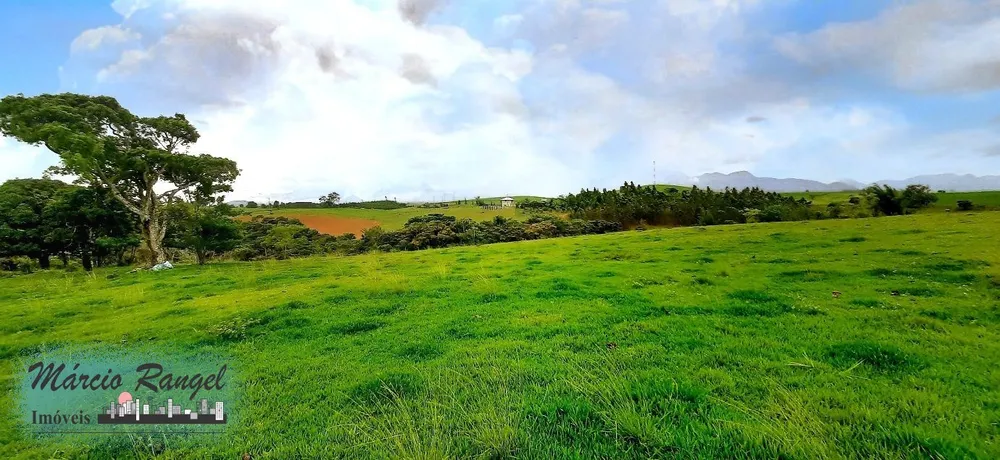 Sítio, 3 hectares - Foto 11