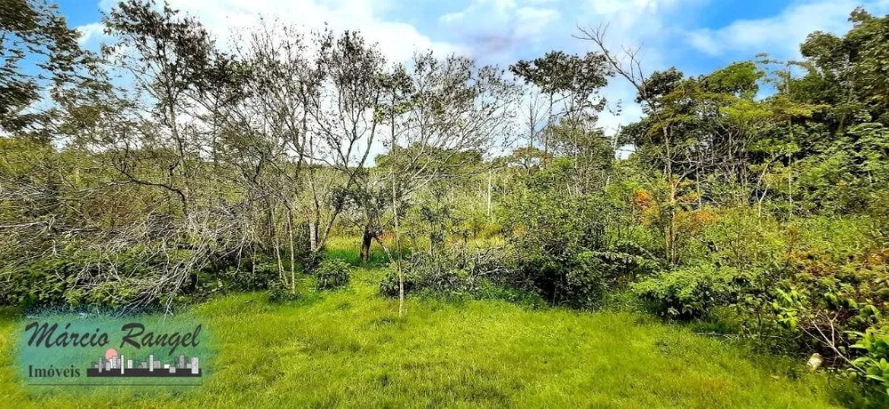Sítio, 3 hectares - Foto 10