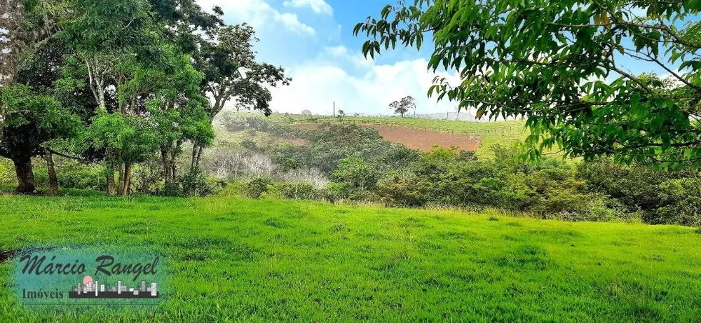 Sítio, 3 hectares - Foto 16