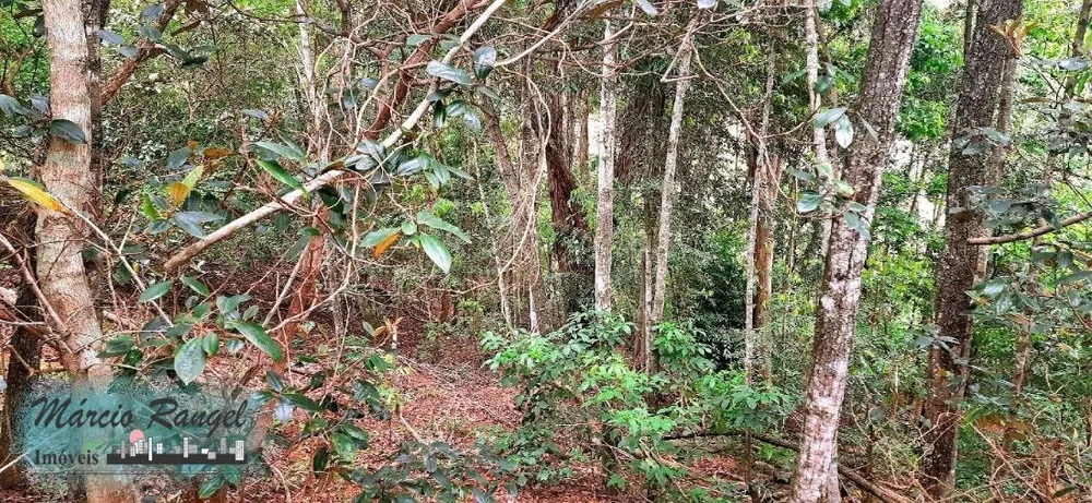 Sítio, 3 hectares - Foto 9