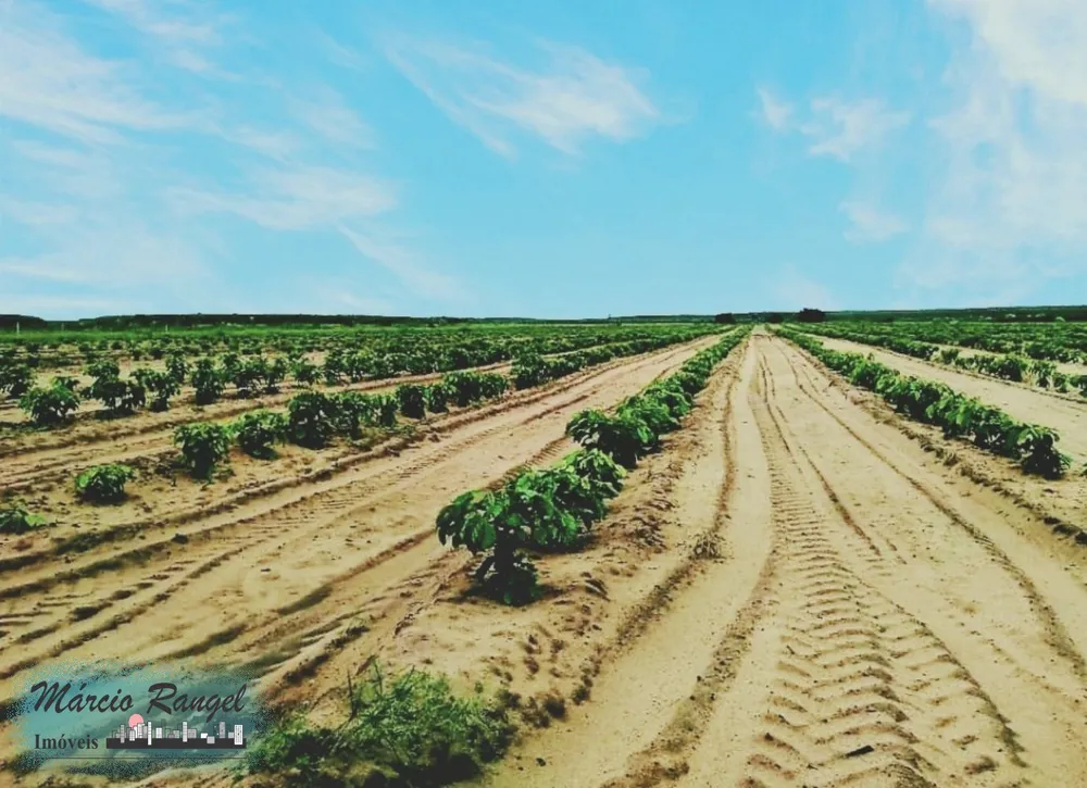 Fazenda, 585 m² - Foto 1