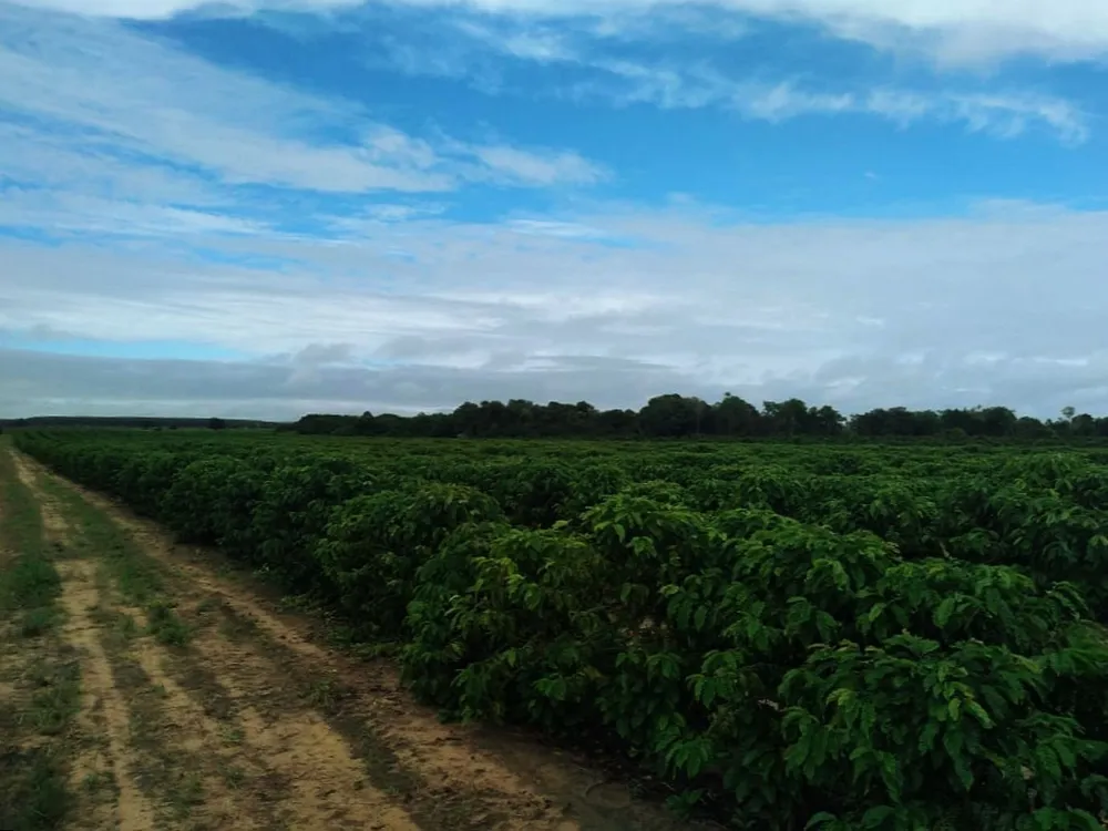 Fazenda, 585 m² - Foto 5