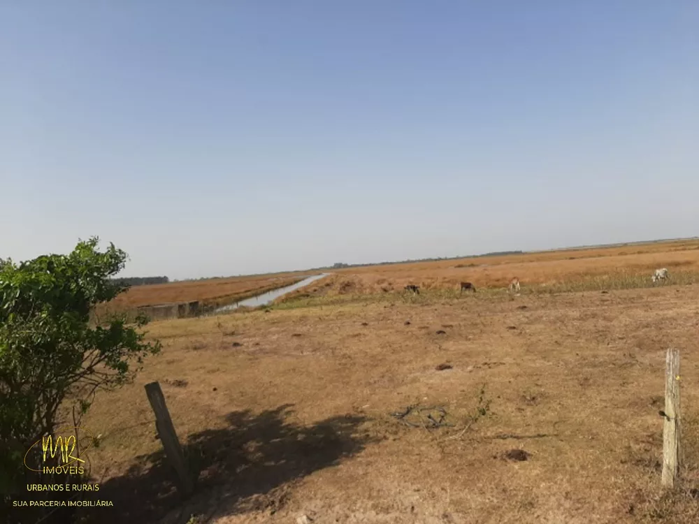 Fazenda, 48 m² - Foto 22