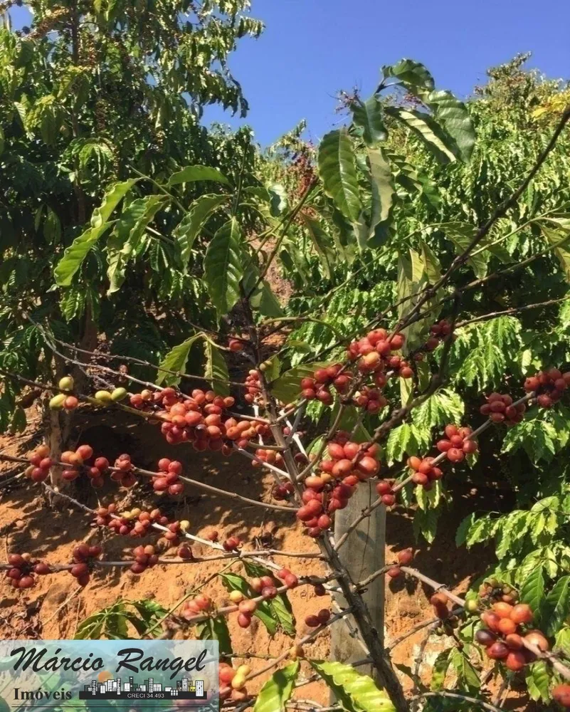 Fazenda, 300 m² - Foto 6
