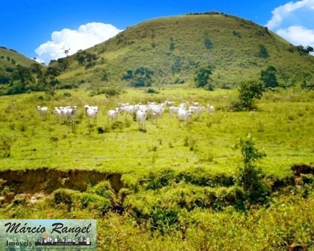 Fazenda, 300 m² - Foto 13