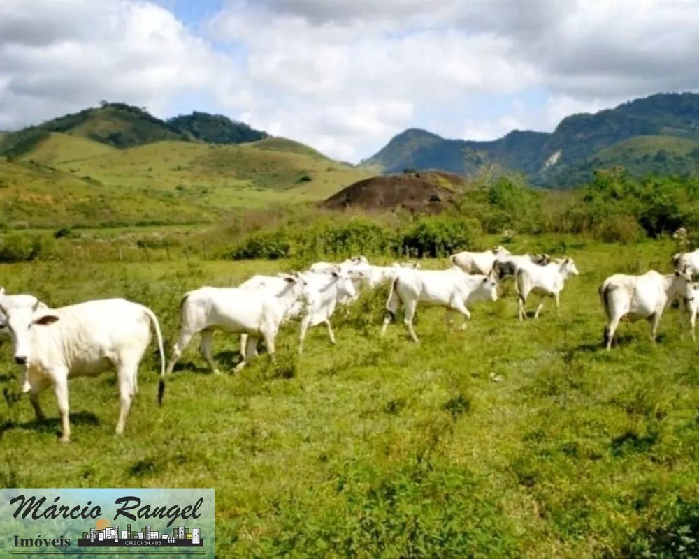 Fazenda, 300 m² - Foto 12