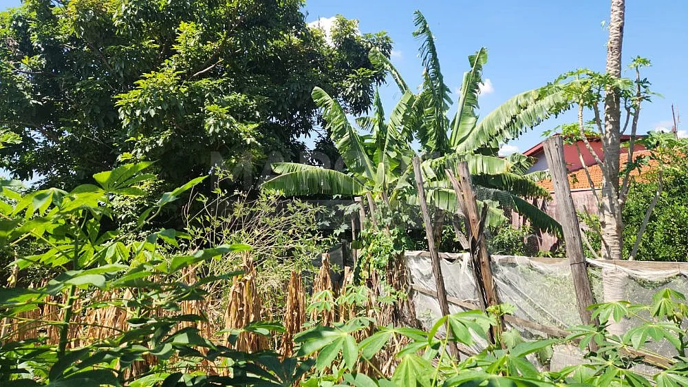 Terreno, 420 m² - Foto 6