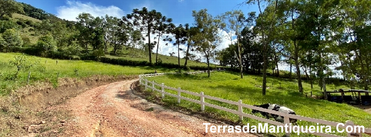 Chácara à venda com 1 quarto, 70m² - Foto 11