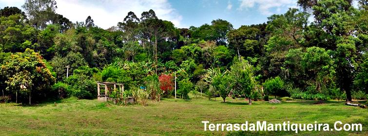 Chácara à venda com 3 quartos, 20000m² - Foto 5