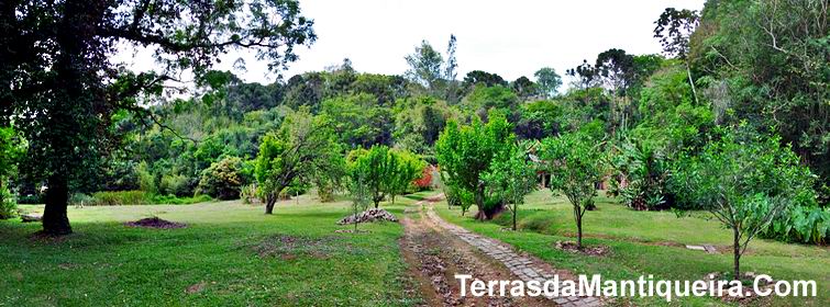 Chácara à venda com 3 quartos, 20000m² - Foto 2