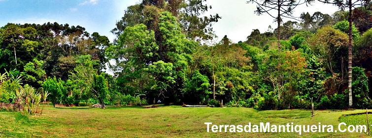 Chácara à venda com 3 quartos, 20000m² - Foto 10