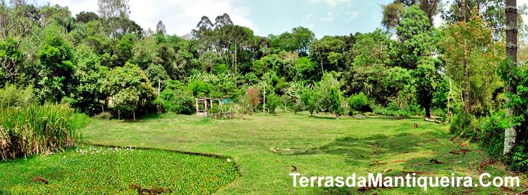 Chácara à venda com 3 quartos, 20000m² - Foto 3