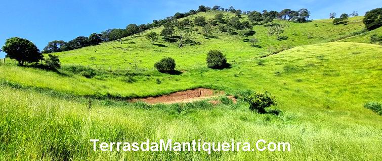 Chácara à venda, 20000m² - Foto 6