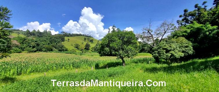 Terreno à venda, 36000m² - Foto 7