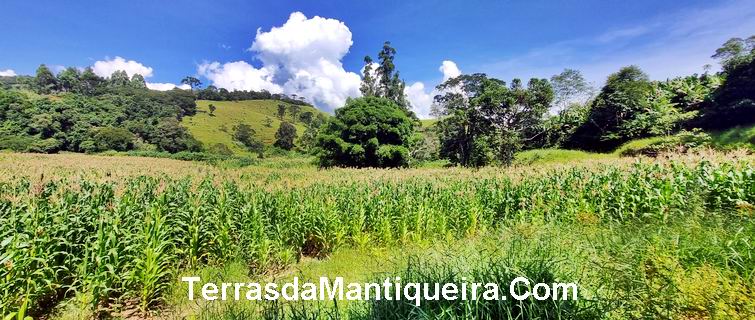 Terreno à venda, 36000m² - Foto 6