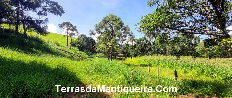 Terreno à venda, 36000m² - Foto 2