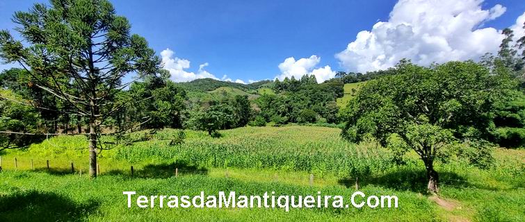 Terreno à venda, 36000m² - Foto 8