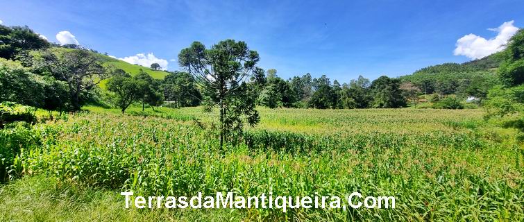 Terreno à venda, 36000m² - Foto 3