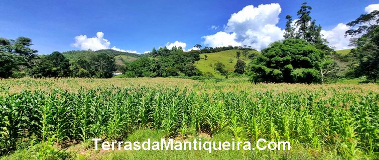 Terreno à venda, 36000m² - Foto 9